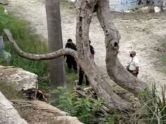 Hombre cae al Acuaparque de Mérida