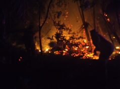 Bomberos controlan incendio en la Reserva de la Biósfera Sian Ka’an