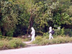 Reportan hallazgo de cabeza humana en Cancún