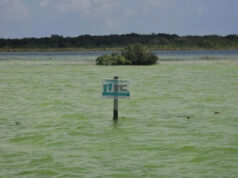 AMLO descarta afectación del Tren Maya en la laguna de Bacalar