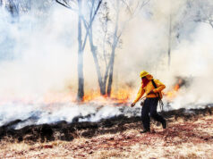 Conafor y Protección Civil controlan tres incendios forestales en Quintana Roo
