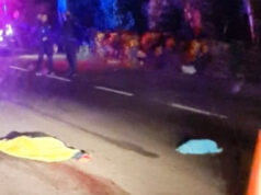 Muere hombre atropellado en tramo carretero Tulum-Playa del Carmen
