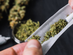 Suprema Corte de Justicia rechaza penalizar posesión de mariguana