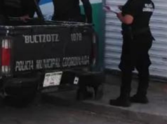 Adolescente reporta intento de rapto en Buctzotz, Yucatán