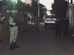 Catean bodega de especies en veda en Dzilam de Bravo; aseguran media tonelada de pulpo