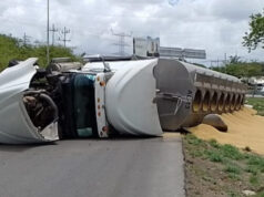 Tráiler sufre volcadura con 32 toneladas de alimento para cerdo en la carretera Mérida-Progreso