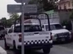 Autoridades federales antidrogas catean dos predios en el municipio de Dzidzantún