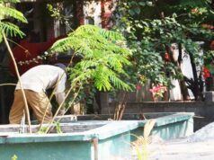 Localizan credencial de Debanhi Escobar en una jardinera de Monterrey