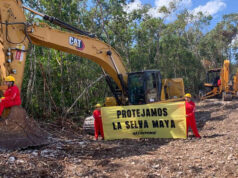 Juez ordena otra suspensión provisional al tramo 5 del Tren Maya