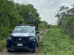 Encuentran cadáver decapitado cerca de la colonia El Pedregal en Cancún, Quintana Roo