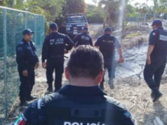Hombres armados en motos acuáticas llegan a robar a una playa de Isla Blanca, Quintana Roo