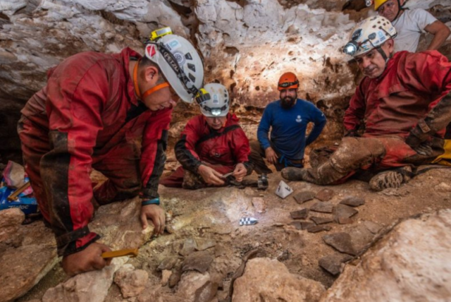 Diseño sin título - 2022-07-08T125203.635