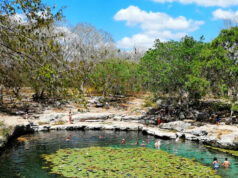 Cenote de Dzibilchaltún seguirá cerrado por contaminación