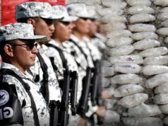 Aseguran más de 540 kilogramos de fentanilo en Sinaloa