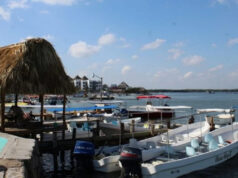 Marea roja en Yucatán no representa riesgo para la salud: SSY