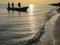 Marea roja se aleja de la costa yucateca