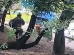 Hombre muere ahogado en Chapultepec