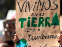 Asesinan a 54 ambientalistas en México durante 2021: Global Witness