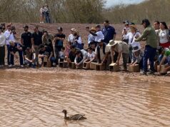 Exigen a Semarnat frenar hostigamientos en contra de los zoos, UMAs y centros de conservación